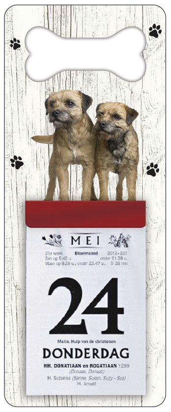 Scheurkalender 2024 Hond: Border Terrier