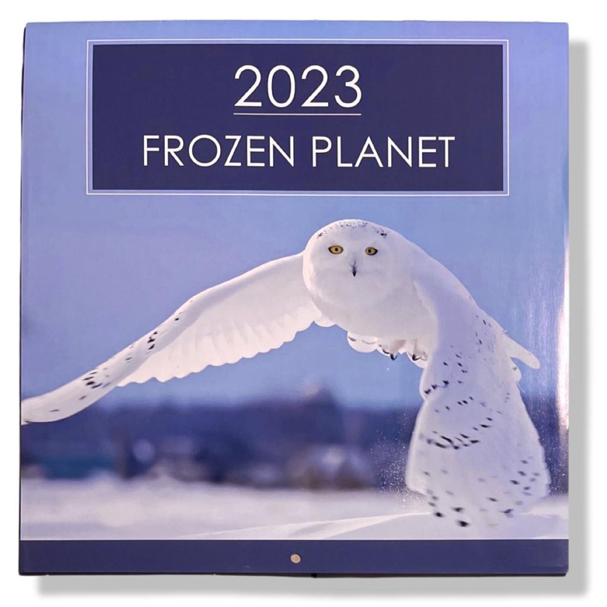 Winter kalender - 2023 - Maandkalender - 28x28cm