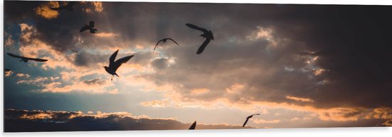 WallClassics - Dibond - Vogels in de Lucht bij Zonsondergang - 120x40 cm Foto op Aluminium (Wanddecoratie van metaal)