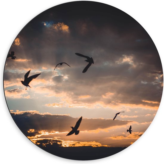 WallClassics - Dibond Muurcirkel - Vogels in de Lucht bij Zonsondergang - 60x60 cm Foto op Aluminium Muurcirkel (met ophangsysteem)