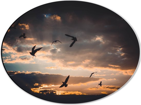 WallClassics - Dibond Ovaal - Vogels in de Lucht bij Zonsondergang - 40x30 cm Foto op Ovaal (Met Ophangsysteem)