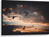 WallClassics - Canvas  - Vogels in de Lucht bij Zonsondergang - 100x75 cm Foto op Canvas Schilderij (Wanddecoratie op Canvas)