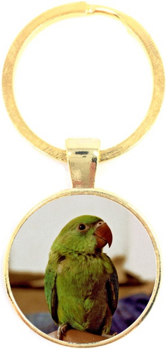 Sleutelhanger Glas - Vogel