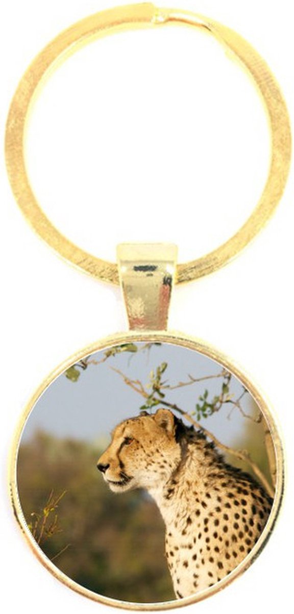 Sleutelhanger Glas - Panter