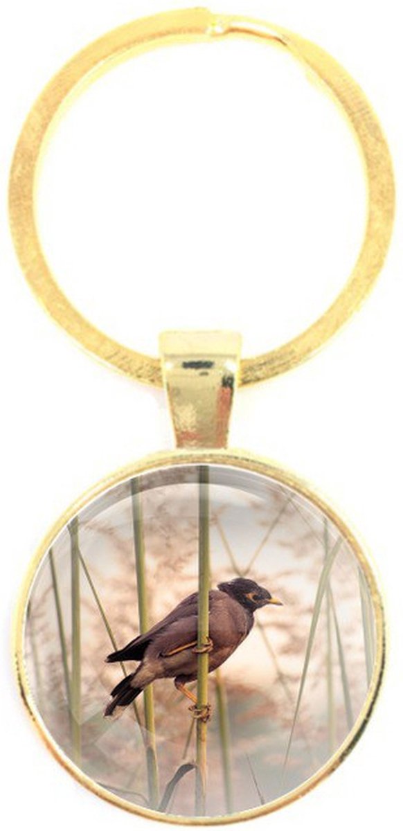 Sleutelhanger Glas - Vogel