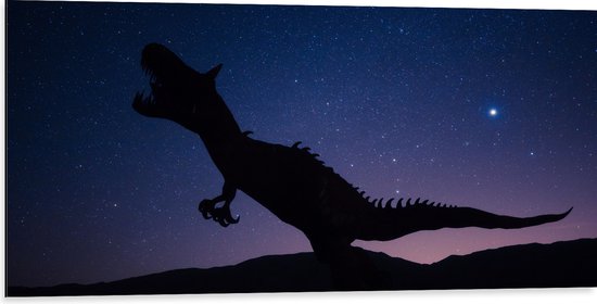 WallClassics - Dibond - Silhouette van een Dinosaurus in de Nacht - 100x50 cm Foto op Aluminium (Wanddecoratie van metaal)