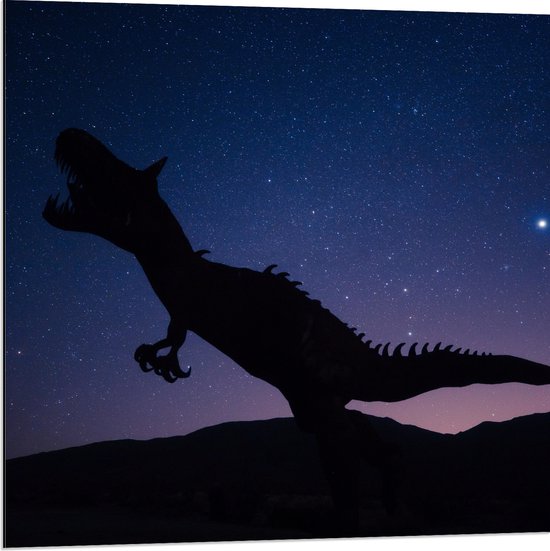 WallClassics - Dibond - Silhouette van een Dinosaurus in de Nacht - 80x80 cm Foto op Aluminium (Met Ophangsysteem)