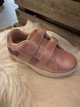 D'T' NEW YORK meisjes Sneaker; Kleur: roze; sluiting: klittenband; MAAT 26