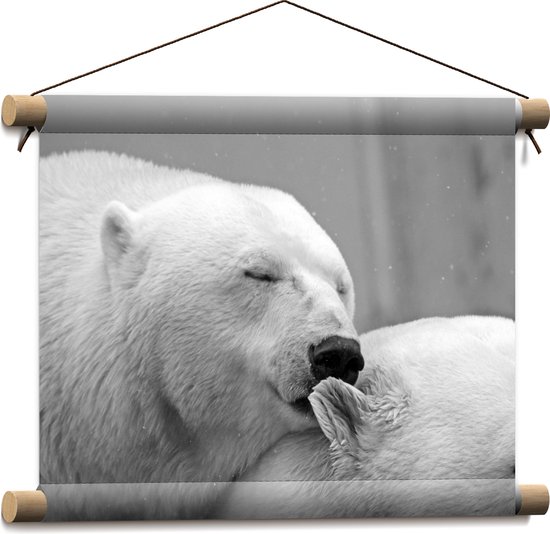 WallClassics - Affiche textile - Ours polaire câlin Zwart / Wit - 40x30 cm Photo sur textile