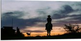 WallClassics - Dibond - Silhouette van een Cowboy bij Zonsondergang - 100x50 cm Foto op Aluminium (Wanddecoratie van metaal)