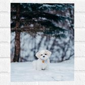 WallClassics - Muursticker - Klein Wit Hondje in de Sneeuw - 30x40 cm Foto op Muursticker
