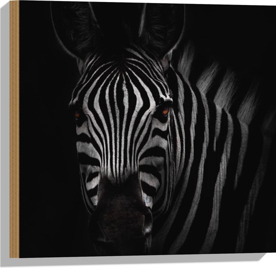 WallClassics - Hout - Zebra in het Donker Zwart-Wit - 50x50 cm - 12 mm dik - Foto op Hout (Met Ophangsysteem)