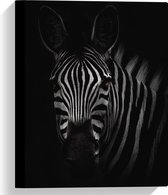WallClassics - Canvas  - Zebra in het Donker Zwart-Wit - 30x40 cm Foto op Canvas Schilderij (Wanddecoratie op Canvas)