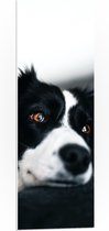 WallClassics - PVC Schuimplaat - Zwart/Witte Hond op de Bank - 30x90 cm Foto op PVC Schuimplaat (Met Ophangsysteem)