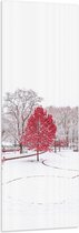 WallClassics - Vlag - Rode Boom in de Sneeuw - 50x150 cm Foto op Polyester Vlag