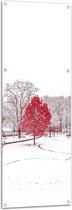 WallClassics - Tuinposter – Rode Boom in de Sneeuw - 50x150 cm Foto op Tuinposter  (wanddecoratie voor buiten en binnen)