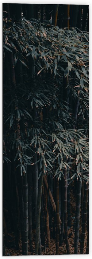 WallClassics - Dibond - Donkere Bamboe Bomen - 40x120 cm Foto op Aluminium (Met Ophangsysteem)