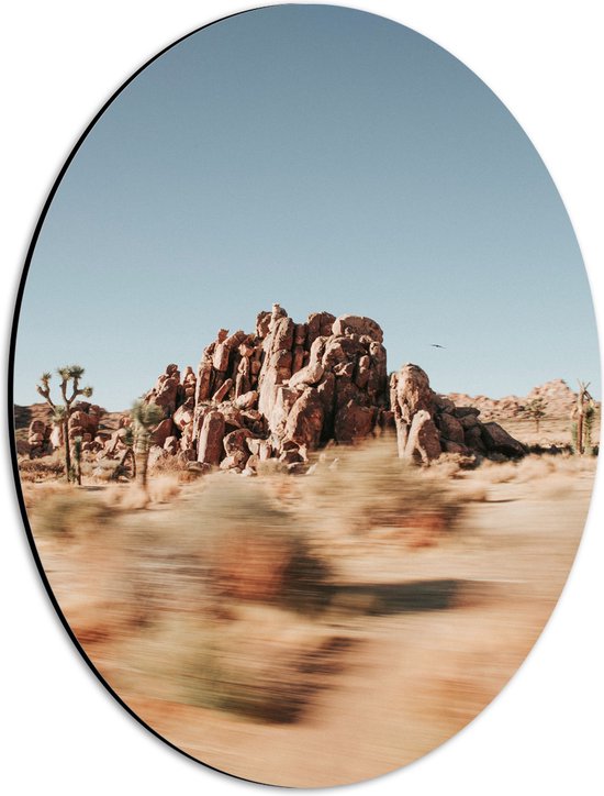 WallClassics - Dibond Ovaal - Snelheid in de Woestijn - 30x40 cm Foto op Ovaal (Met Ophangsysteem)
