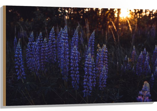 WallClassics - Hout - Blauwe Lupine Plant - 105x70 cm - 12 mm dik - Foto op Hout (Met Ophangsysteem)