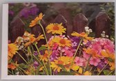 Een blanco kaart met diverse soorten bloemen in allerlei kleuren voor het hek in het gras. Een leuke kaart om zo te geven of om bij een cadeau te voegen. Een dubbele wenskaart inclusief envelop en in folie verpakt.