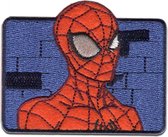 Marvel - Spider-Man Muur - Patch