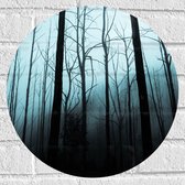 WallClassics - Muursticker Cercle - Forêt sombre - 40x40 cm Photo sur Muursticker