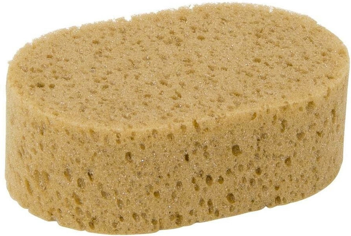 Goedkoopste Autospons ovaal schuim 160x95x65 mm