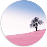 WallClassics - PVC Schuimplaat Muurcirkel - Boom op Roze Heuvel - 60x60 cm Foto op Muurcirkel (met ophangsysteem)