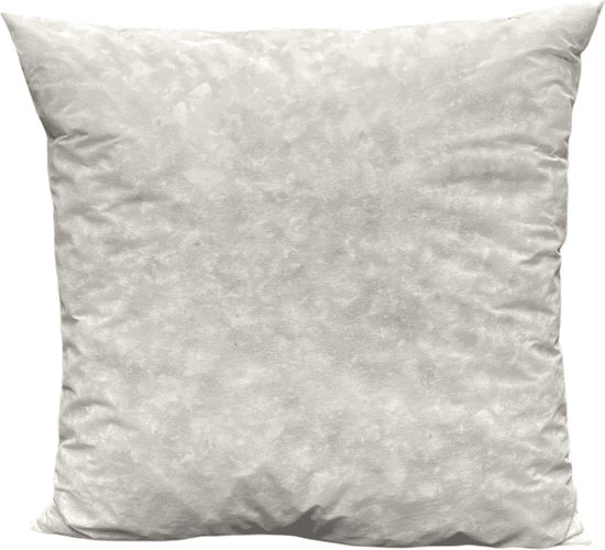 binnenkussen 40 x 50 (2026) Bestsellers