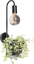 QAZQA roslini - Moderne Wandlamp voor binnen - 1 lichts - D 22 cm - Zwart - Woonkamer | Slaapkamer | Keuken