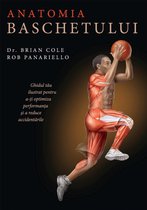 Sport - Anatomia baschetului
