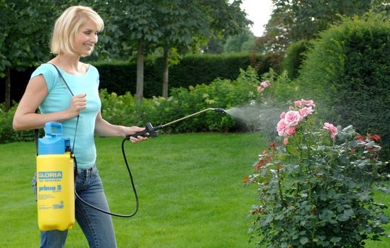 Gloria - Prima 5 L - Drukspuit - Nevelspuit - Professioneel van Gloria — afbeelding 2