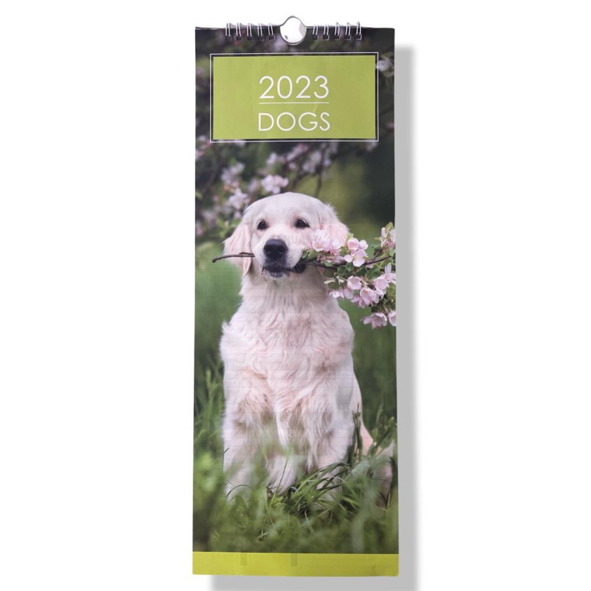Honden kalender - 2023 - Maandkalender - 15.5x42cm