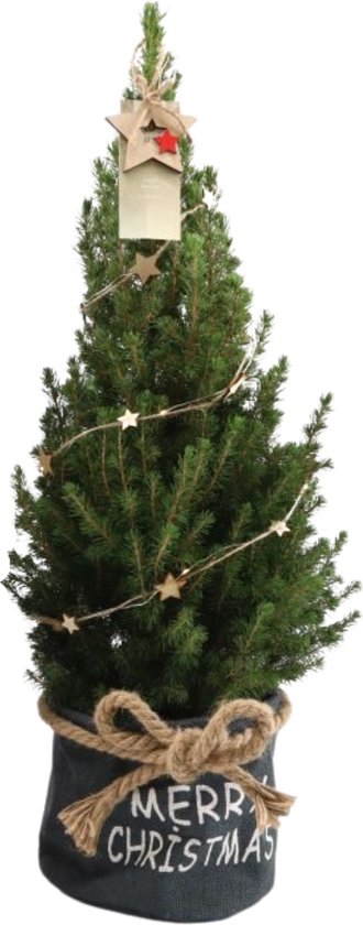 Seraph zag onvergeeflijk Fresh from Nature - Kleine Kerstboom in Xmas bag blauw met verlichting  'Starlight' -... | bol.com
