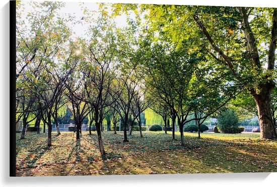 WallClassics - Canvas  - Kleine Bomen met Grote Boom in het Park - 90x60 cm Foto op Canvas Schilderij (Wanddecoratie op Canvas)