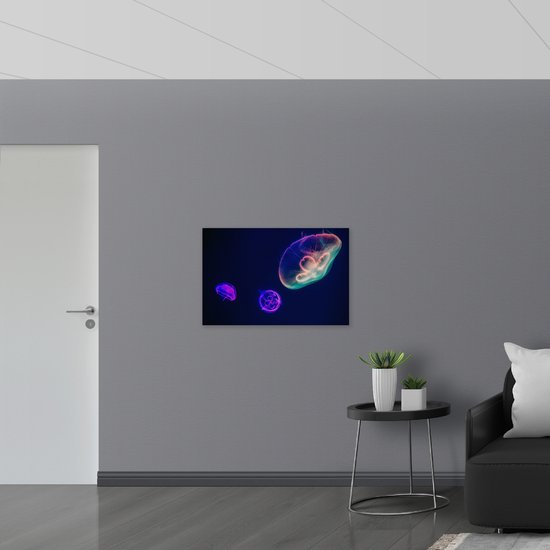 WallClassics - Dibond - Méduses colorées Water - Photo sur aluminium 90x60 cm (avec système de suspension)