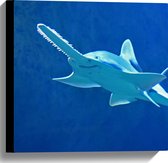 WallClassics - Canvas  - Zwaardvis in het Water - 40x40 cm Foto op Canvas Schilderij (Wanddecoratie op Canvas)