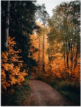 WallClassics - Poster (Mat) - Herfst Bomen Langs Pad - 30x40 cm Foto op Posterpapier met een Matte look