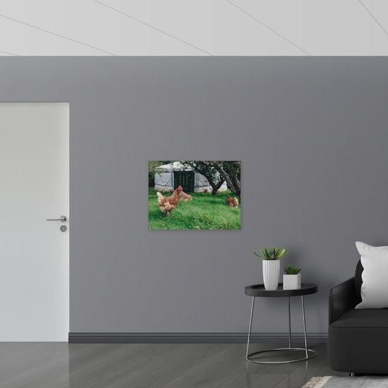 WallClassics - Bois - Poules dans l'herbe - 80x60 cm - 12 mm d'épaisseur - Photo sur bois (avec système de suspension)