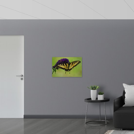 WallClassics - Drapeau - Papillon Jaune / Noir sur Bloem Violette - 75x50 cm Photo sur Drapeau Polyester