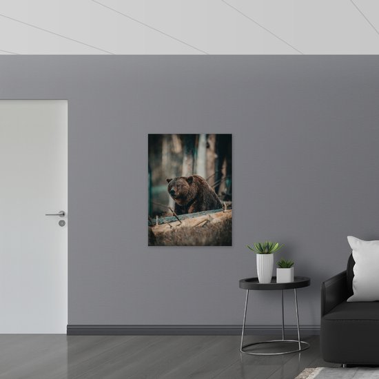 PVC Schuimplaat- Natte Beer in het Bos - 75x100 cm Foto op PVC Schuimplaat