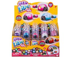 1 X Little Live Pets Lieveheersbeestje Kleur Willekeurig Verzonden