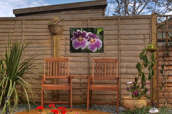 Décoration de Jardin Orchidée sauvage - 40x30 cm - Toile de jardin