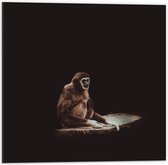 WallClassics - Dibond - Aap in het Donker - 50x50 cm Foto op Aluminium (Met Ophangsysteem)
