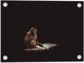 WallClassics - Poster de Jardin - Singe dans le Noir - 40x30 cm Photo sur Poster de Jardin (décoration murale pour l'extérieur et l'intérieur)