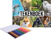 A4 wilde dieren schetsboek/ tekenboek/ schetsblok wit papier met 36 kleurpotloden