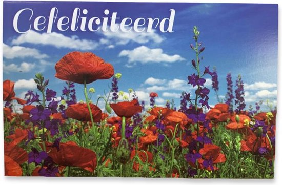 Kaart met klaprozen en paarse bloemen in een veld onder een blauwe lucht met wolken. Tekst: Gefeliciteerd.