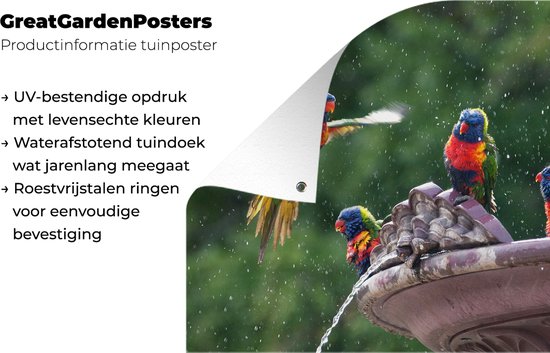 Affiche de jardin Fontaine - Vogel - Water - 120x90 cm