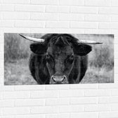 WallClassics - Muursticker - Photo Zwart et Wit d'un Muursticker - 100 x 50 cm