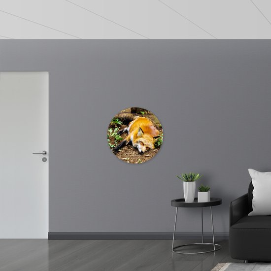 WallClassics - Muursticker Cercle - Renard Endormi - 70x70 cm Photo sur Muursticker